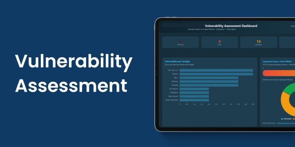 Vulnerability Assessment
